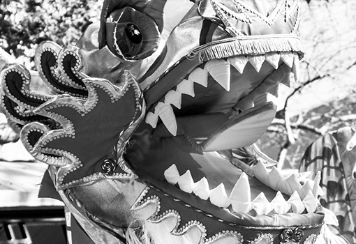 creative writing competition nz creative writing competition nz